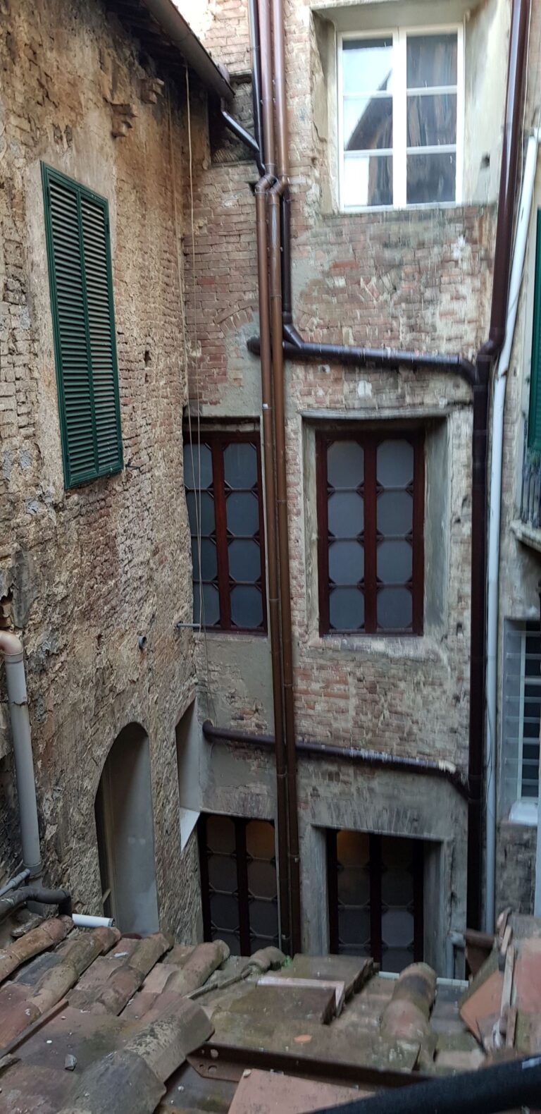 duomosiena19