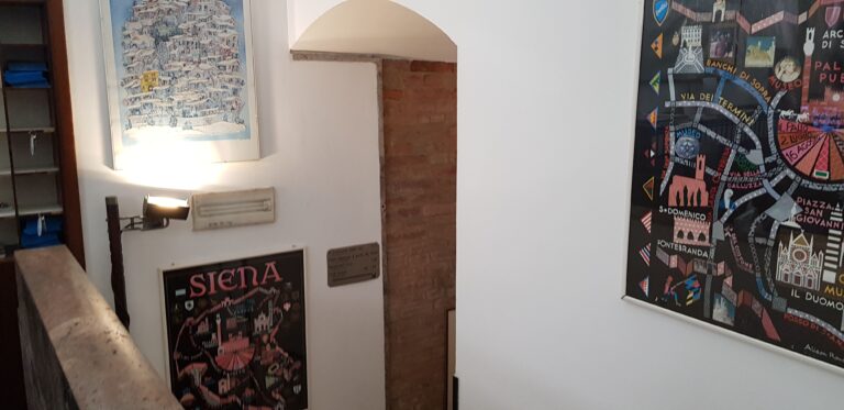 duomosiena7